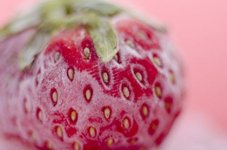 sportsday-obentou-dessert-2