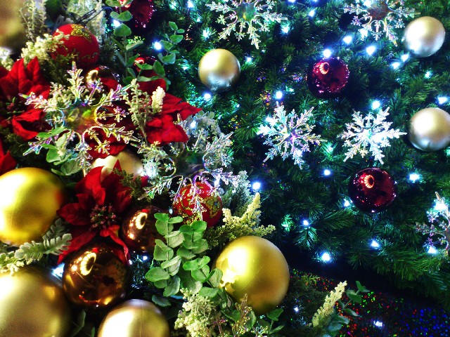 christmas-dislike-1