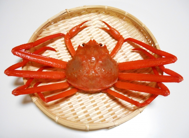 oden-kawaridane-9